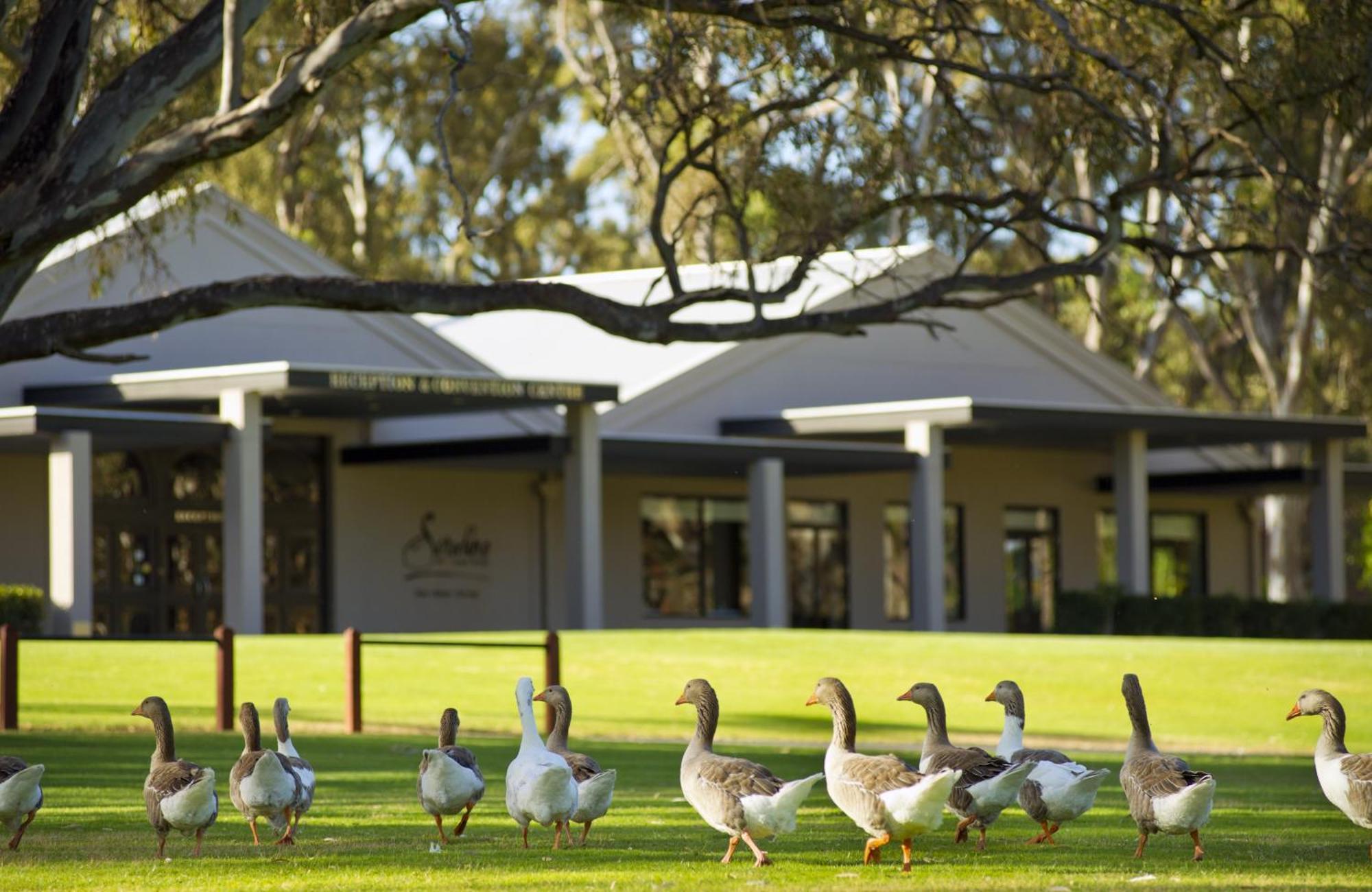 Serafino Mclaren Vale Zewnętrze zdjęcie